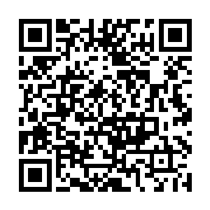 你们真以为慕容家的血丹能够治疗你们的家族遗传病二维码生成