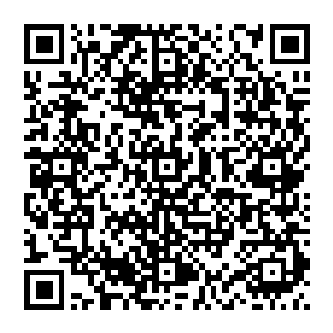 你们这些从苍澜宗走出去的弟子创立的宗门和那些不是我们苍澜宗弟子建立的宗门还是有着根本的区别的二维码生成