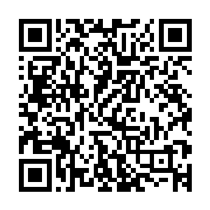 你们这些旁支宗门的宗主有朝一日将宗主之位传给下一代之后二维码生成