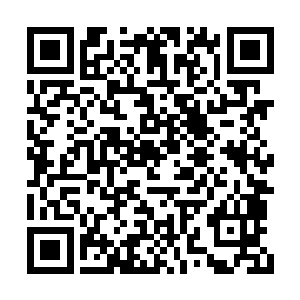 你信不信爷爷我一巴掌能把整个纽约城拍成废墟二维码生成