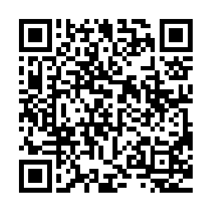 你原来推荐老何担任常务副部长尚书记和童书记还有点儿通不过二维码生成