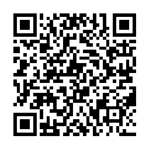 你在幻境当中学习到的很多功法根本暂时还无法修炼二维码生成