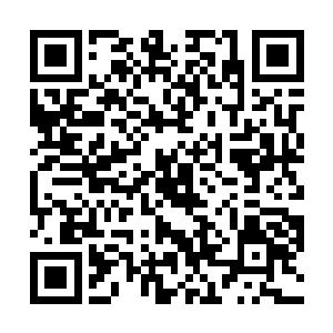 你如果杀了我……你将会被执法者组织无穷无尽的追杀二维码生成