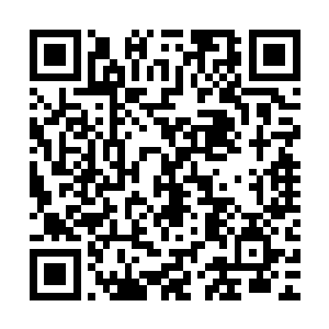 你小子现在所探寻出来的大陆只不过是神州大陆的一小部分而已二维码生成