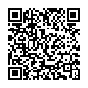 你当初让你的学生去云滇大规模的种植药草的原因了二维码生成