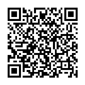 你的实力和上古火凤凰的实力在里面算是怎么排名的二维码生成