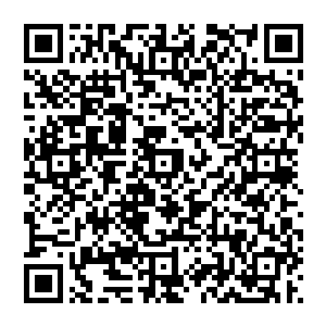 你看吧 人家会长大人一把三万 全收了 你们呢 十把而已 还跟我讨价还价 哼 沒钱就别來市场里 二维码生成