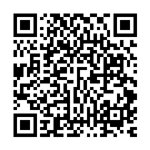 你看我们十个分神中期的古藤可以编织成一件衣服你穿着外面二维码生成