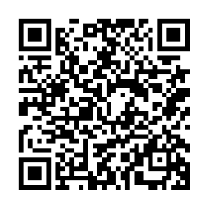 你知不知道你这样做很可能会挑起苍澜宗和星域宗两宗的大阵二维码生成