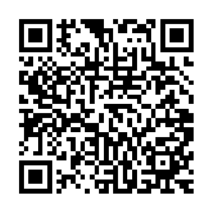 你说得好像你爱的人是切萨雷一样――你已经完全被他收服了二维码生成