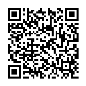 你走的那天在城外斩杀和重伤了截击你的罗门三人二维码生成