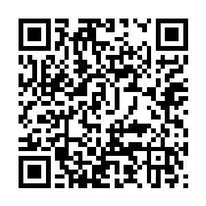 你轮回世界和现实里得到的事物可以挂在坊中售卖二维码生成