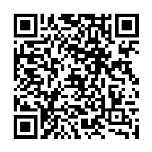 你随便问问飞机上的任何一个乘客就能得到答案的二维码生成