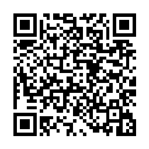 使原来已经变得细小的经脉变得和初始修行时一般宽阔二维码生成