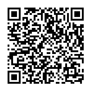 便见护在他身边的数十只地狱蚁兵竟然仿佛受到了某种巨力的碾压一般二维码生成