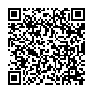 修罗家族高手们离奇死亡这件事儿到现在都还没有调查出任何的线索来二维码生成