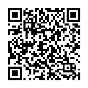 倒不是夺舍或者信息传输有什么稀奇这毕竟是修真世界二维码生成