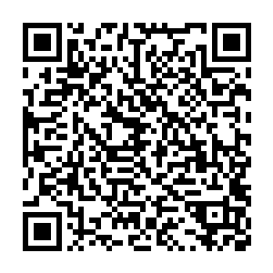 偏偏那些个侍卫们也都没有资格留下家主和长老们的通讯器精神印记二维码生成
