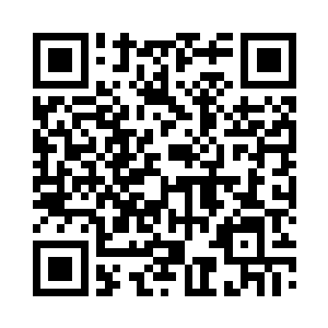 做梦也要梦到统计报表上的一格格数据二维码生成