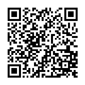 像是长相滑稽可爱的大毒枭镇定的声称自己不贩毒二维码生成