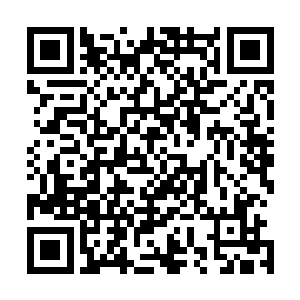 先将他们邀请到七海星域进行了一段时间的封闭培训和指导二维码生成