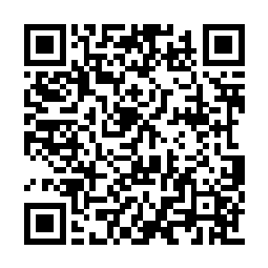 全然没了当初在北界时那种小家碧玉的受气模样二维码生成