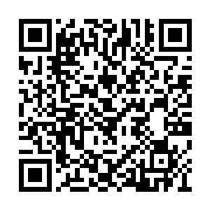全身的骨头仿佛散了架的积木一样哗啦散了开来二维码生成