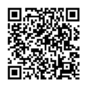 其他的武林世家为了避免自己的家族参与这样的大家族的混战二维码生成