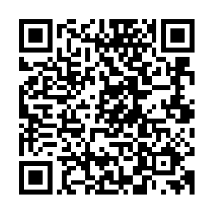 其实也是导致流墨墨在仙界又收了一大批的宠物的重要原因之一二维码生成