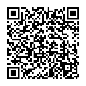 其实如果将濮少将军和南宫少将军放在一起让人匿名投票的话……二维码生成