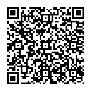 其实我们北地世俗界四大家族每一代都会希望将自己族中的弟子送到修仙界的宗门二维码生成