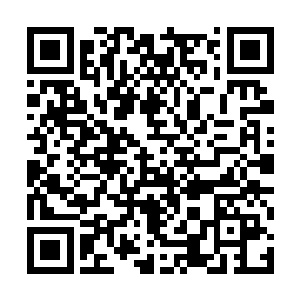 其实是想从您这里取取经……您是oled领域的权威二维码生成