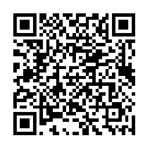 其实还在于千夜大人得到了无数狼人子民的忠诚和信仰二维码生成