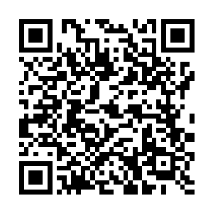 内事主管袁增和十二给黑衣人似乎不敢相信这是真的二维码生成