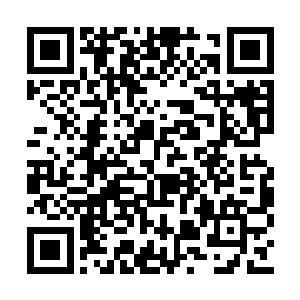 再加上这部戏的确是有意的在培养和栽培韩顺章二维码生成