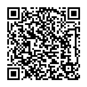 况且朵朵是在丝毫没有防备的情况下被五条剧毒的蛇将你完全的缠住二维码生成