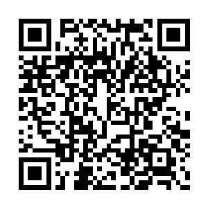 冷无情用冰符冰冻风清扬却是让他捡了个小便宜二维码生成