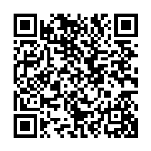 凌家这一世也不可能得到代表联邦最强的终极武器――in机甲二维码生成