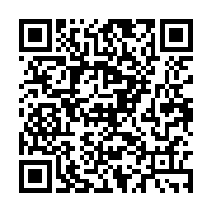 几乎可以说是摧枯拉朽一般的将林辉破给压制住了二维码生成