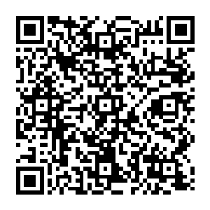 几乎已经是秦方可以释放出去的最强大的攻击力了……甚至已经算是透支了秦方全部的力量二维码生成