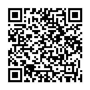几乎已经爬满恼怒的淡金色大脸刷的就到了血妖姬们面前二维码生成