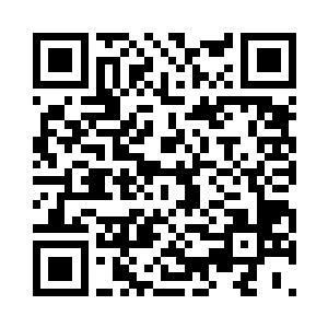 几秒钟就能传承一代的等离子体细胞而言二维码生成
