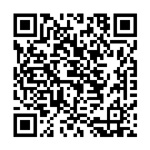 分散的化神境修士开始用远程攻击无差别的对我们释放起来二维码生成