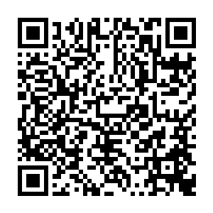 刘枫不禁暗暗的想象等到李峰发现那没圣核里面根本就没有什么有用的记忆二维码生成