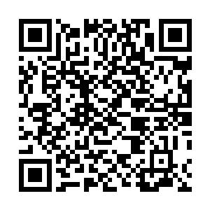 则像是放大了数百倍的霸王乌贼和超巨型水母缠绕在一起二维码生成