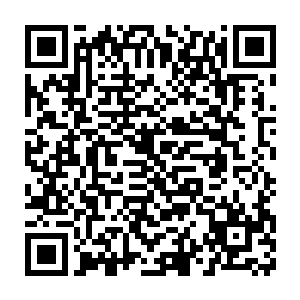 刚一进门就看到一个和张璐涵长得一模一样但却十分漂亮的女孩子二维码生成