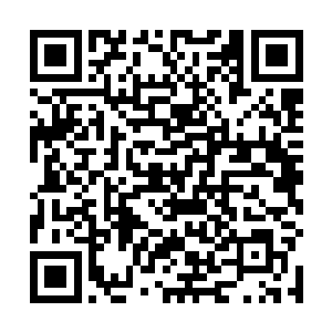 刚刚收到了符咒世界中的双头裂体兽和飞翼银龙的信息二维码生成