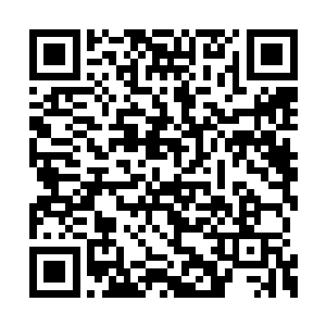 刚刚淬体和已经淬体了亿万年的他们能够一样吗二维码生成