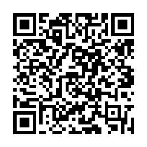 刚才他的几位秘书和暮烟在外面的说话他都听到了二维码生成