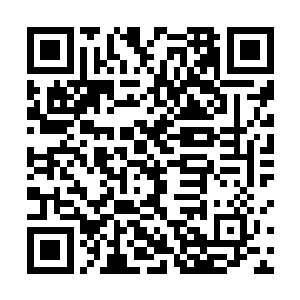 刚才你杀死威廉伯爵的时候会有血族来支援威廉伯爵的二维码生成